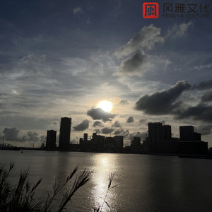 美女把屁股扒开把鸡鸡露出的视频
